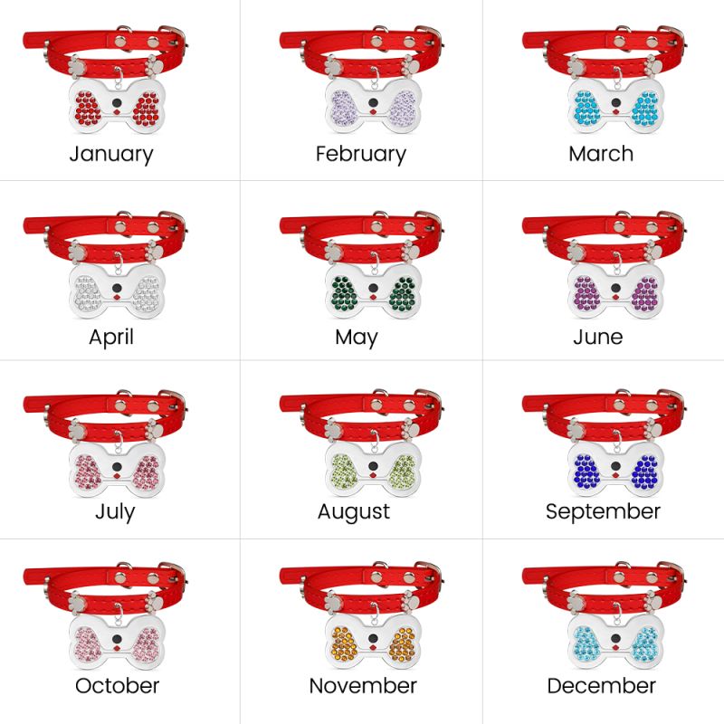 Dog Bone Pet Tag & Collar Anti-Lost