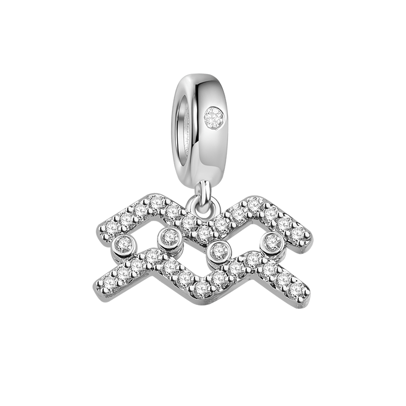 Aquarius Charm